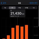 대도청과