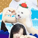 빠아앙 이미지