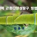 [생태교육] 우리지역 곤충다양성탐구 방법 이해 / 6. 12.(수) / 김원기 이미지