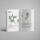 디자인스튜디오도감