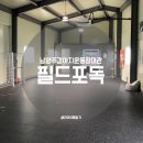 자유로지하수 - 파주시 파주읍 | 남양주 실내 강아지운동장, 여름 실내 강아지놀이터 필드포독