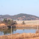 단군영당유허비 Daum카페