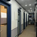 코끼리 코인노래연습장 이미지