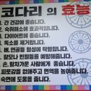 금강코다리 이미지