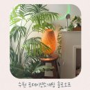 솔로오프 | 수원 로테이션소개팅 인계동 1:1 소개팅 솔로오프 참여 후기