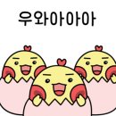에이프릴펫 이미지