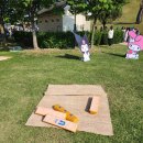 한수원과 함께하는 인디뮤직프로젝트 이미지