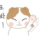 애플빈 이미지