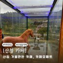 경남 산청 가볼 만한 카페, 카페모페트 | 아기자기한 분위기 속 커피가 맛있는 산청 카페