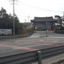 진도 맛코다리 이미지