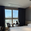 플랫폼1024 | 속초 체스터톤스 호텔, 7만원에 두 딸과 다녀온 완전 정복 후기 (모바일 체크인 ~ 수영장 이용팁까지)