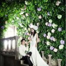 스튜디오 동화