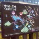 코윗커피 이미지