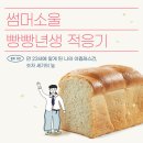 헤이썸머스튜디오 이미지