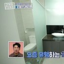 푸르미르통신