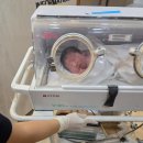 홀가분한의원 | 한나여성의원-출산후기(?)-생존신고