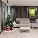 호텔 신 아라리 | 전주비즈니스호텔 깨끗하고 설렘 가득한 숙소