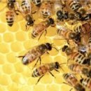 미소정미소 이미지