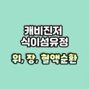 포뮬라인 캐비진저 식이섬유정 효과 후기 성분 주의사항