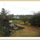 [제주도부동산]제주도농가주택-제주시 조천읍 신촌리 중산간마을 내 대지넓은 구옥 농가주택 이미지
