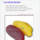 명문의료기 이미지