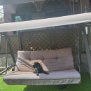 공항 가까운 전원주택 펫시터 이미지