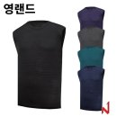 영랜드