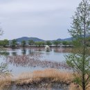 동의한방촌 이미지