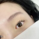 청주 가경동 속눈썹펌 뷰티바이윤에서 망한 속눈썹 살린 후기