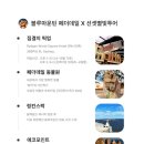 룰루투어 이미지