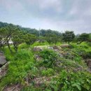 여주-0773 이미지