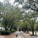 디녹 DIKNOCK 여성 스트라이프 티셔츠 코디 착용 후기