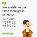 듀오링고 1년 후기