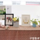 다미인뷰티 이미지