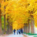 경상남도수목원 단풍축제=2025년10월25일(토)~11월16일(일)운영시간:10/31까지 이미지