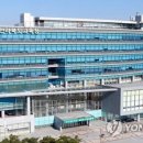 비안도초 이미지