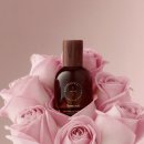 봄베리 | 유쏘풀 세인트모리츠 &amp; 베리섹시 향수 솔직 후기 | 봄향수 향 노트, 지속력, 추천 포인트