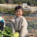 안산천동로1길 | 우리 아이 유치원 일상, 햇살유치원 만족도 최고!!