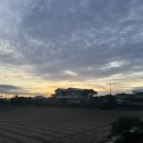 다옴 | 제주도 세화 숙소 내돈내산 에어비앤비 평대다옴
