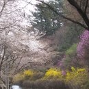 안민고개 정상 이미지