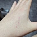 삼성미플러스의원 이미지