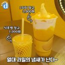 고망고 - 부천시 소사구 부광로 220 | 고망고