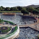 빛의 정원 - 20 이미지