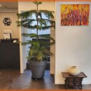 홍이 돼지국밥 이미지