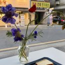 헤이즐랩