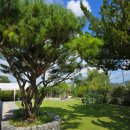 초연스테이 이미지