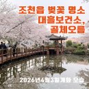선흘1리보건진료소 | 제주 조천읍 벚꽃 명소 대흘보건진료소· 선흘리 골체오름 벚꽃축제 | 서로다른 반전 매력 포인트