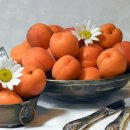 살구숲한의원 이미지