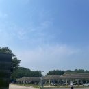 국수나무청주