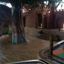 스파오케스트라 이미지